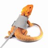 Bearded Dragon Carrier and Harness Set, Beardie Leash, Lizard Adjustable