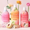 Amorepacific Happy Bath Pink Blossom Body Wash 900g 3-Pack (Option)