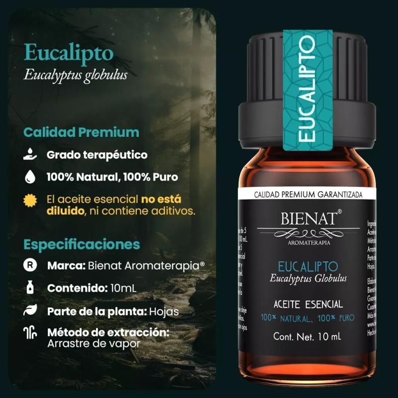 Bienat Aromaterapia Aceite Esencial De Eucalipto 100% Natural 100% Puro