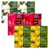 Gita ( )아모레 해피바스 두보레 장미 에센스비누 4입 Amore Happy Bath Dubore Rose Essence Soap Set of 4