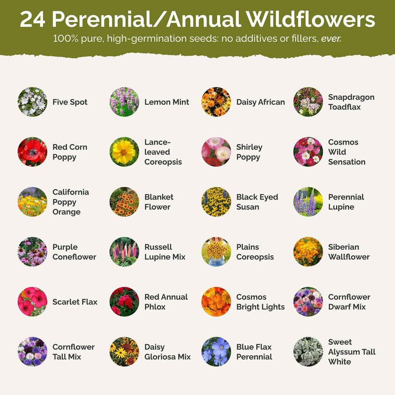 Eden Brothers Southeast Wildflower Mixed Seeds for Planting, 1/4 lb,