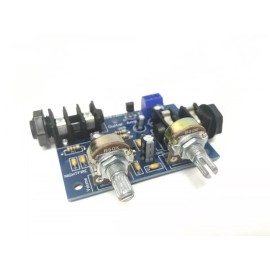 NightFire Electronics LLC Guitar Mini Amplifier BUILT & TESTED (#1127)