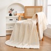 Cream White Throw Blanket 50"×60" inches Fuzzy 3D Jacquard Decorative