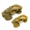 MINYULUA Turtle Basking Platform Reptile Terrarium Hideout Tortoise Resin Rock