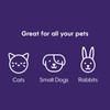 Litter Genie Standard Pail (Silver) | Cat Litter Waste Disposal