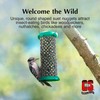 C&S Woodpecker Suet Nuggets, Outdoor Wild Bird Food for Woodpeckers,