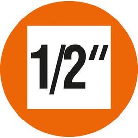 Projahn 101099 Universal Socket Spanner Insert 1/4 Inch