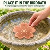 2-Pack Copper Bird Bath Disks with Triple-Point Support, 3.94 Inch
