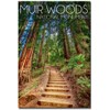 Muir Woods National Monument Refrigerator Magnet Size 2.5" x 3.5"