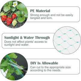 13Ft x 33Ft Anti Bird Protection Mesh Garden Netting Seedlings   Fruit Trees Vegetables from Rodents   Fencing, Green - Color: Green