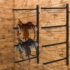 Paterr 4 Tier Saddle Rack Wall Mount Horse Saddle Storage