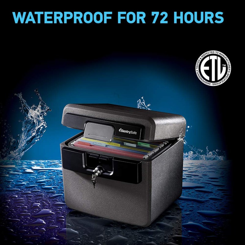 SentrySafe Black Fireproof and Waterproof Safe, File Folder and Document
