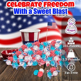 Fun Express Patriotic Red White and Blue Candy Bulk - 1.5 Pounds, 67 Pieces, Blueberry, Cherry, and Vanilla-Flavored