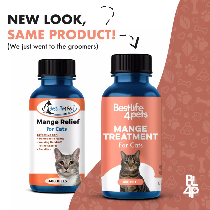 BestLife4Pets Mange Treatment for Cats