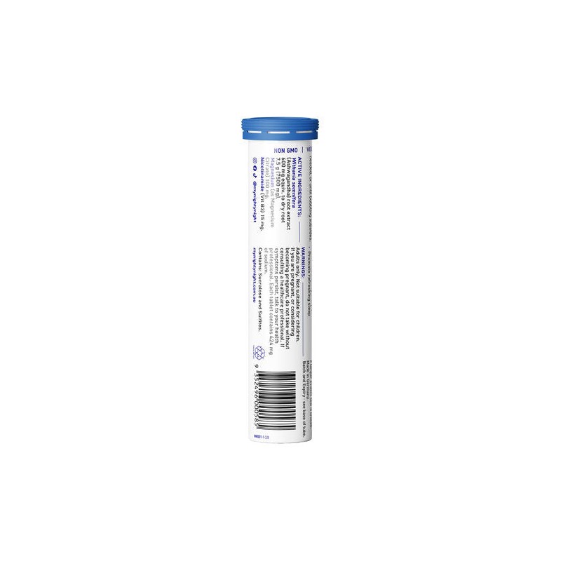 Nighty Night Sleep Effervescent Elderberry Flavour 14 Tablets