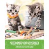TINDTOP Catnip Chew Toys for Cats, 4 Pack Natural Silvervine