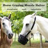 Swarming Stars Flames Horse Grazing Muzzle with Adjustable Straps, Durable,