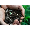 Autoflower Living Soil Concentrate for Super Soil