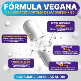 Suplemento Citrato De Magnesio 200 Mg Con Vitamina B6 90cáps Sabor Sin sabor