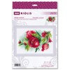 RIOLIS Counted Cross Stitch Kit 11.75"X8.25"-Juicy Pomegranate (14 Count)