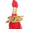 1PC 2025 Graduation Cap Pendant Tassel (Red)