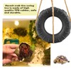 Hermit Crab Climbing Toy, Hermit Crab Tire Swing Toy Hermit