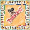 Late For the Sky Yorkie-opoly