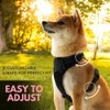 Ziggy Pet Dog Harness Adjustable Nylon Mesh Vest with Leash