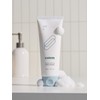 Acure Purifying Foam Cleanser / 에이큐어 퓨리파잉 폼 클렌저