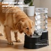 RIZZARI 8L Dog Water Dispenser – Elevated, Stainless Steel, Black