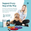 FluentPet Speak Up Get Started Kit with Clearer Upward-Facing Sound