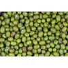 SanMac Organic Green Moong Mung Beans - 5 lb