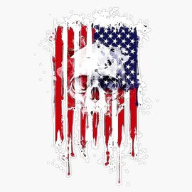 HOF Trading American Flag Skull Vinyl Sticker Waterproof Decal Laptop Wall Window Bumper Sticker 5"