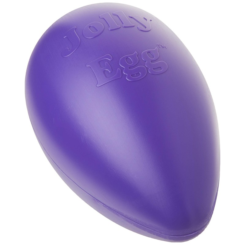 Jolly Pets Jolly Egg Dog Toy, 12 Inches/Large, Purple