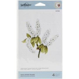 Spirea (Bridal Wreath)