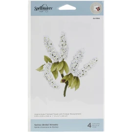 Spirea (Bridal Wreath)