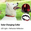 LED Dog Collar USB Rechargeable Solar Luminous Collar Adjustable Lighted