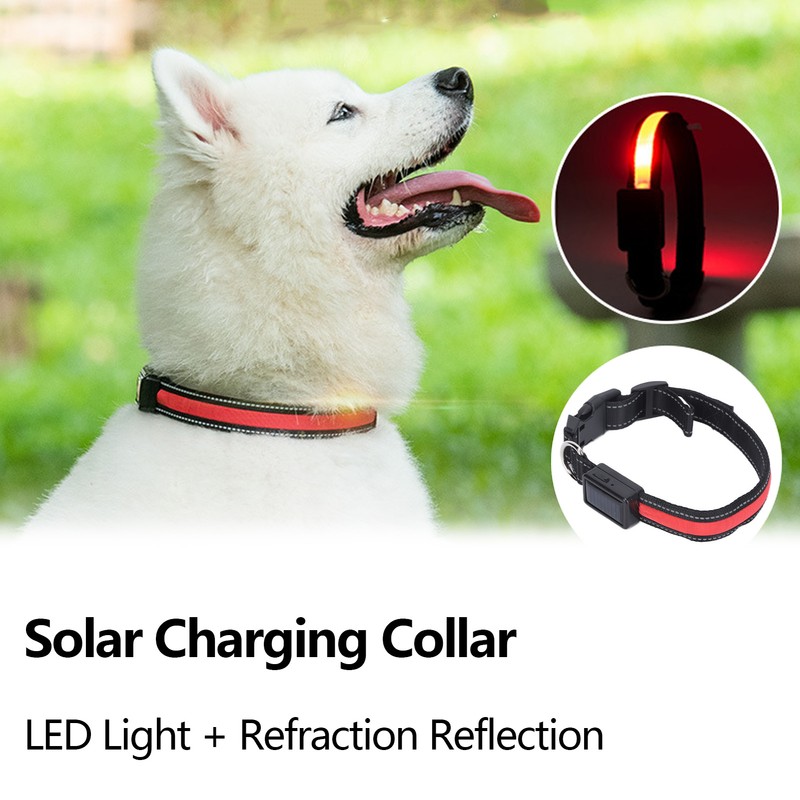 LED Dog Collar USB Rechargeable Solar Luminous Collar Adjustable Lighted
