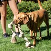Fida Dog Rope Toys for Aggressive Chewers, Interactive Heavy Duty