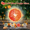 KachiKachi 1-Pack Dried Blood Orange Slices - 200g/7oz | No