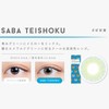 エヌズ コレクション ワンデー N'sCOLLECTION 1day 【1箱10枚入】 14.2mm カラコン UVカット （さば定食