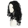 JoneTing Long Curly Wigs for Men Black Curly Wigs Funny