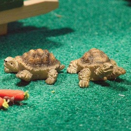 The Dolls House Emporium Terry & Jerry Tortoises (PR)