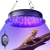 TFNN UVB Reptile Light