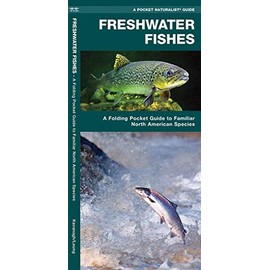 Freshwater Fishes