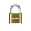 DELSWIN 4-Digit Combination Lock Outdoor Padlock - Heavy Duty Locker
