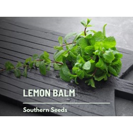 Fresh Lemon Balm - 100 Seeds - Medicinal & Culinary Herb - Heirloom - GMO Free