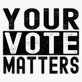 Your Vote Matter 2020 Presidential Election Sticker Bumper Sticker Vinyl Decal 5"