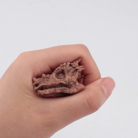 LC JoyCre 11PCS Realistic Mini Dinosaur Bones Set T-rex Skull for Sandbox Kids Toys Carnotaurus Velociraptot Brachiosaurus Oviraptor Nigersaurus Diplodocus Dilophosaurus Dracorex Triceratops