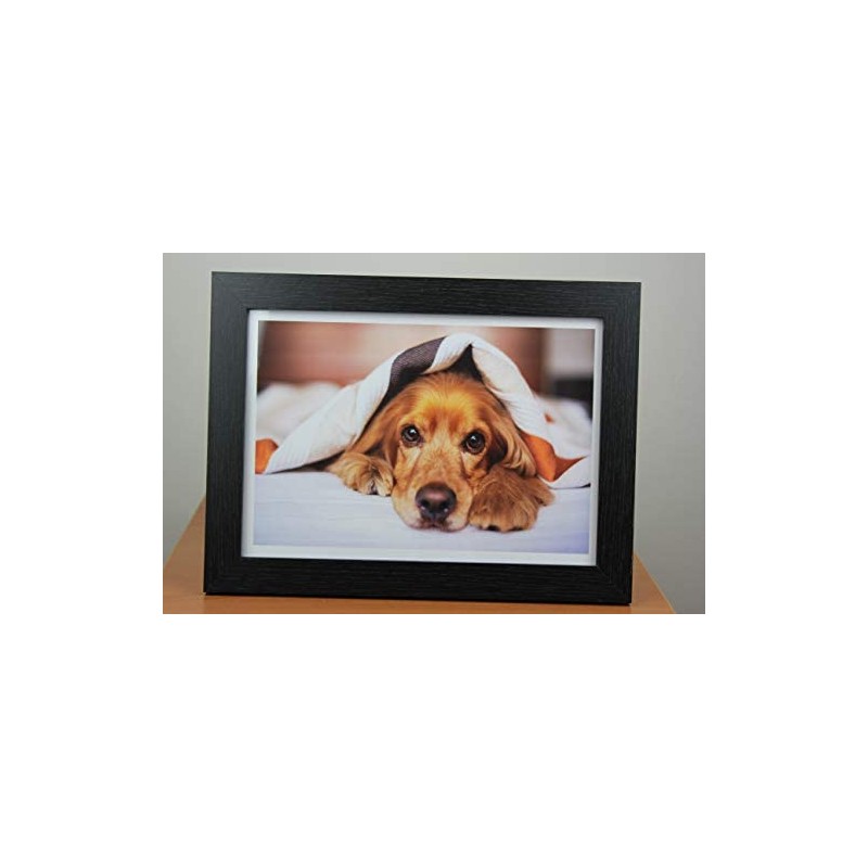 PPD 50 Sheets A4 Inkjet Satin Premium Plus Archival Photo